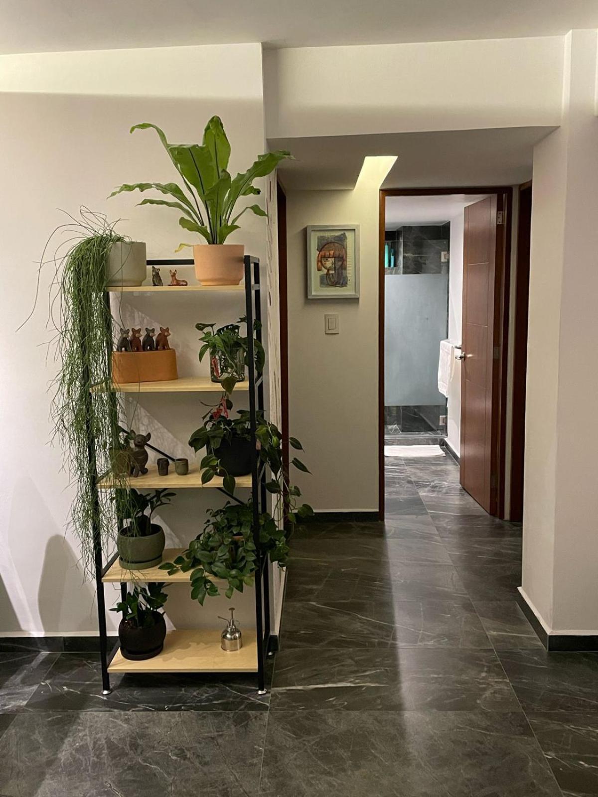 Great Apartment In The Heart Of Coyoacan Mexico By Eksteriør billede