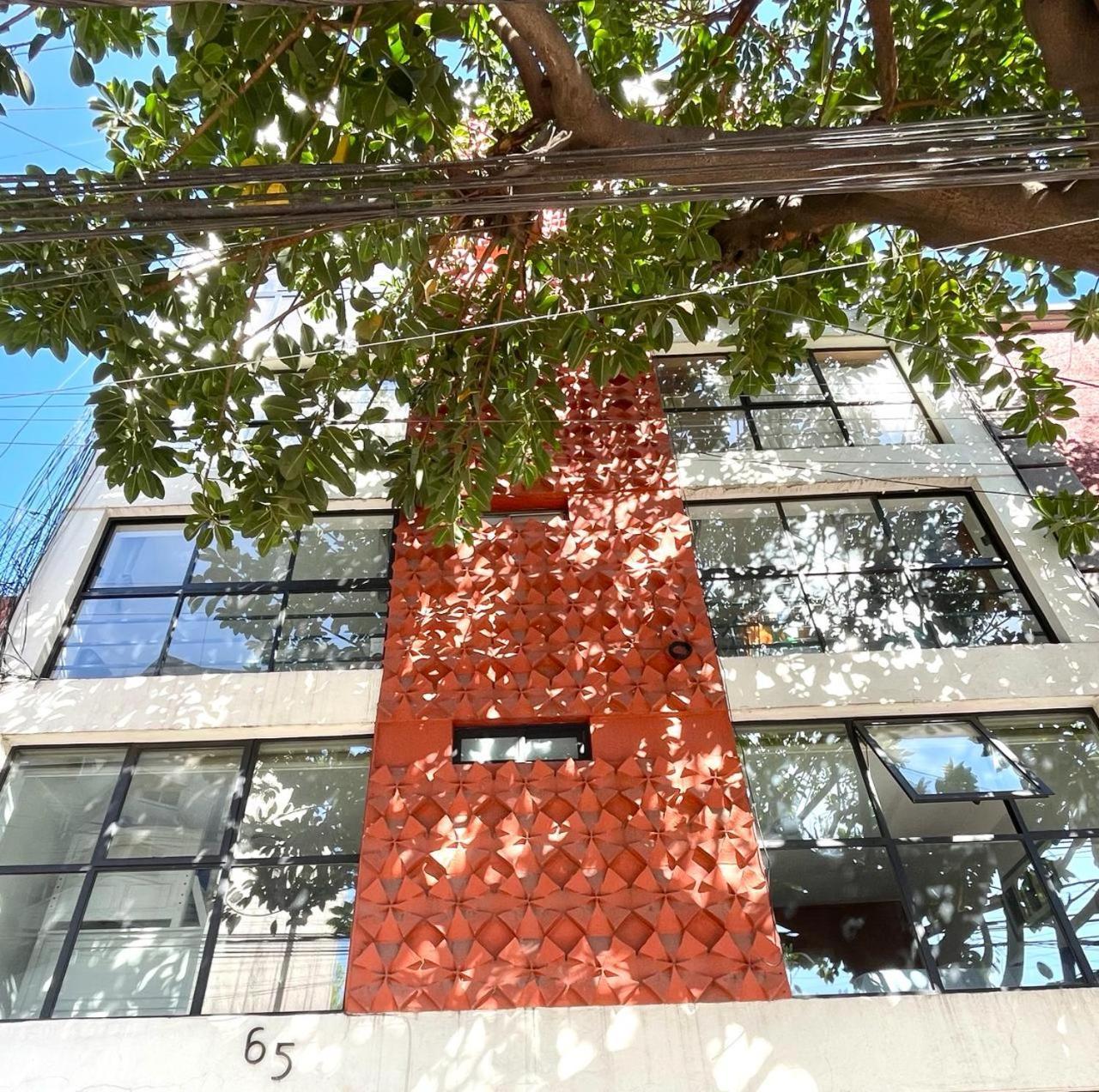 Great Apartment In The Heart Of Coyoacan Mexico By Eksteriør billede